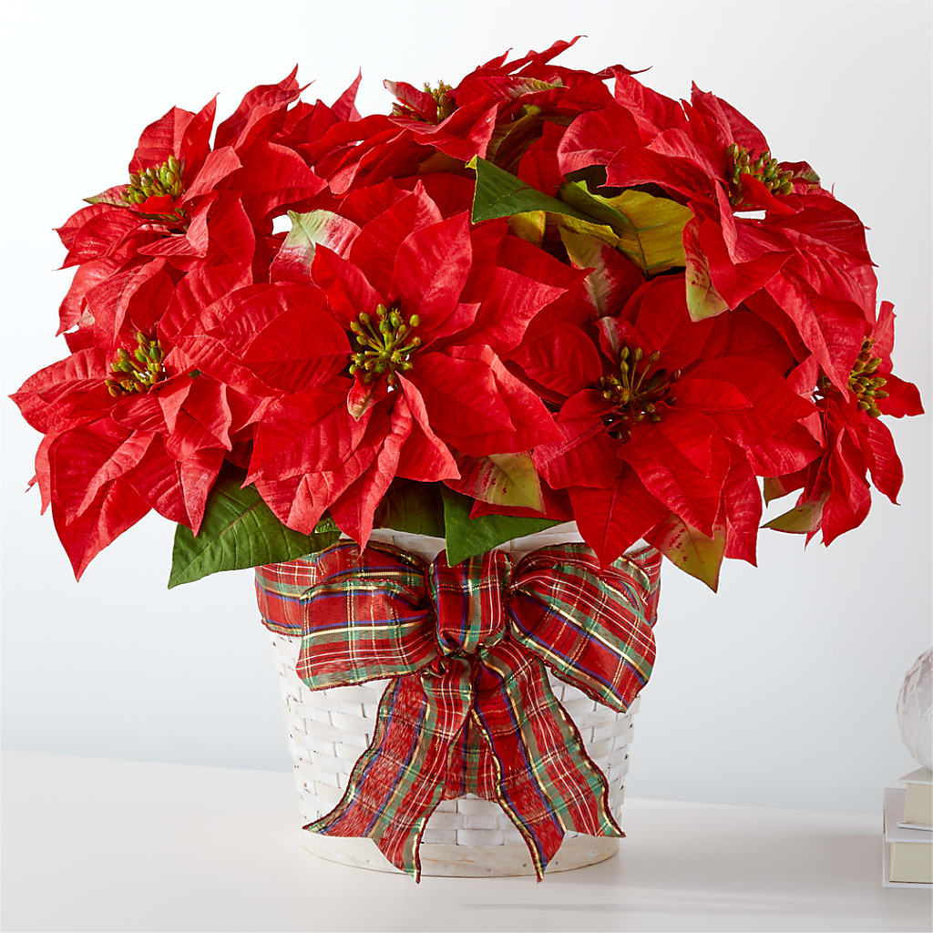 Happiest Holidays Poinsettia – BOWS PETALS 'N LACE, Livingston TN