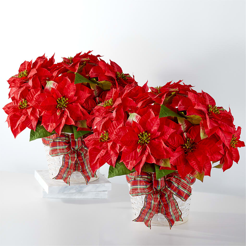 Happiest Holidays Poinsettia Bundle – BOWS PETALS 'N LACE, Livingston TN