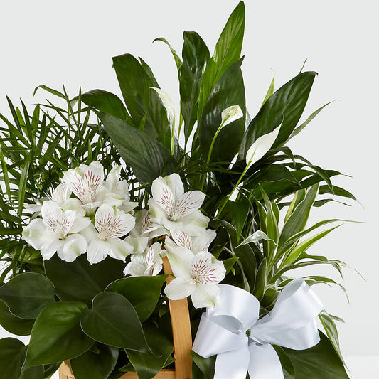 Peace & Serenity Dishgarden – BOWS PETALS 'N LACE, Livingston TN