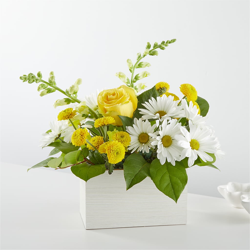 Sun Salutation Box Bouquet – BOWS PETALS 'N LACE, Livingston TN
