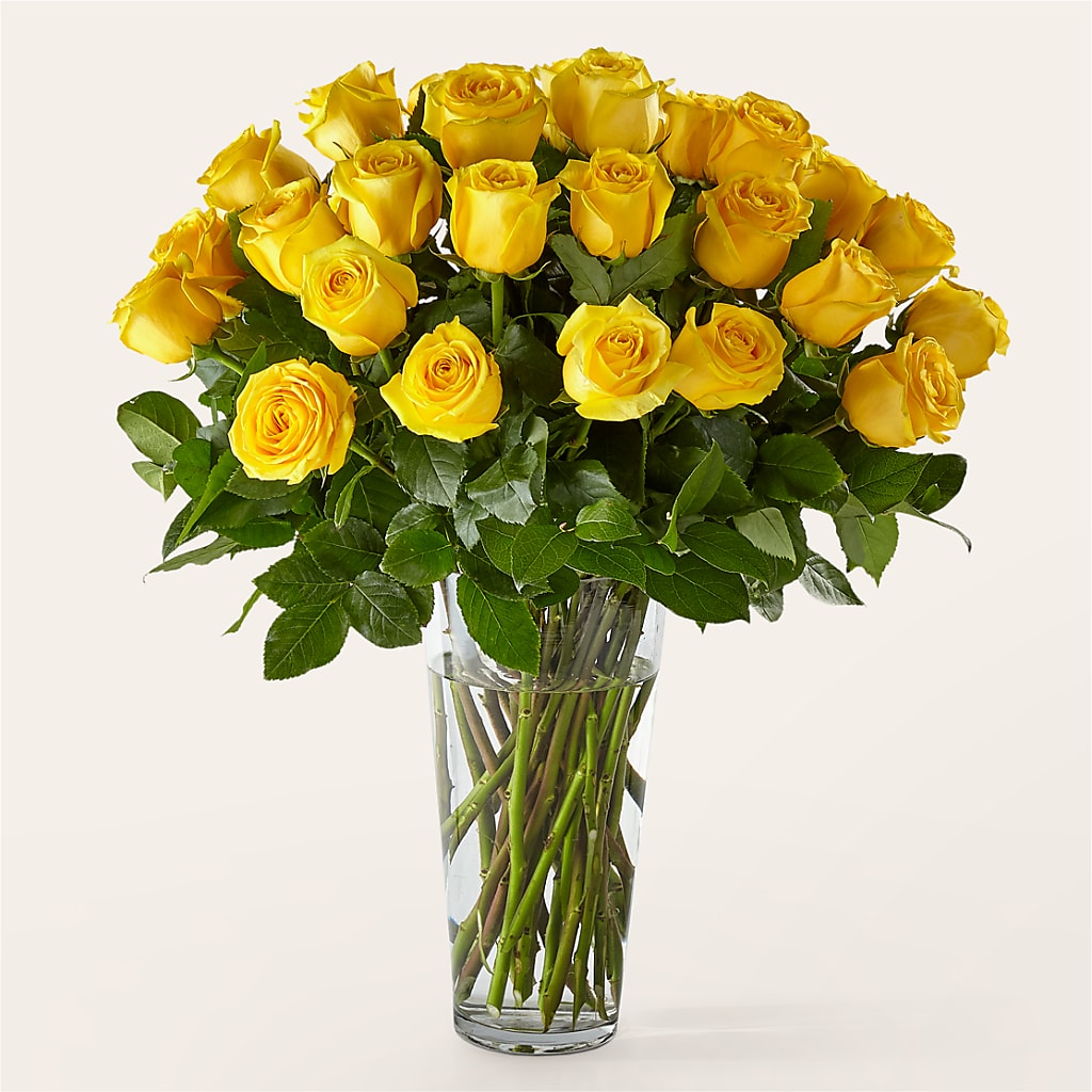 Long Stem Yellow Rose Bouquet – BOWS PETALS 'N LACE, Livingston TN