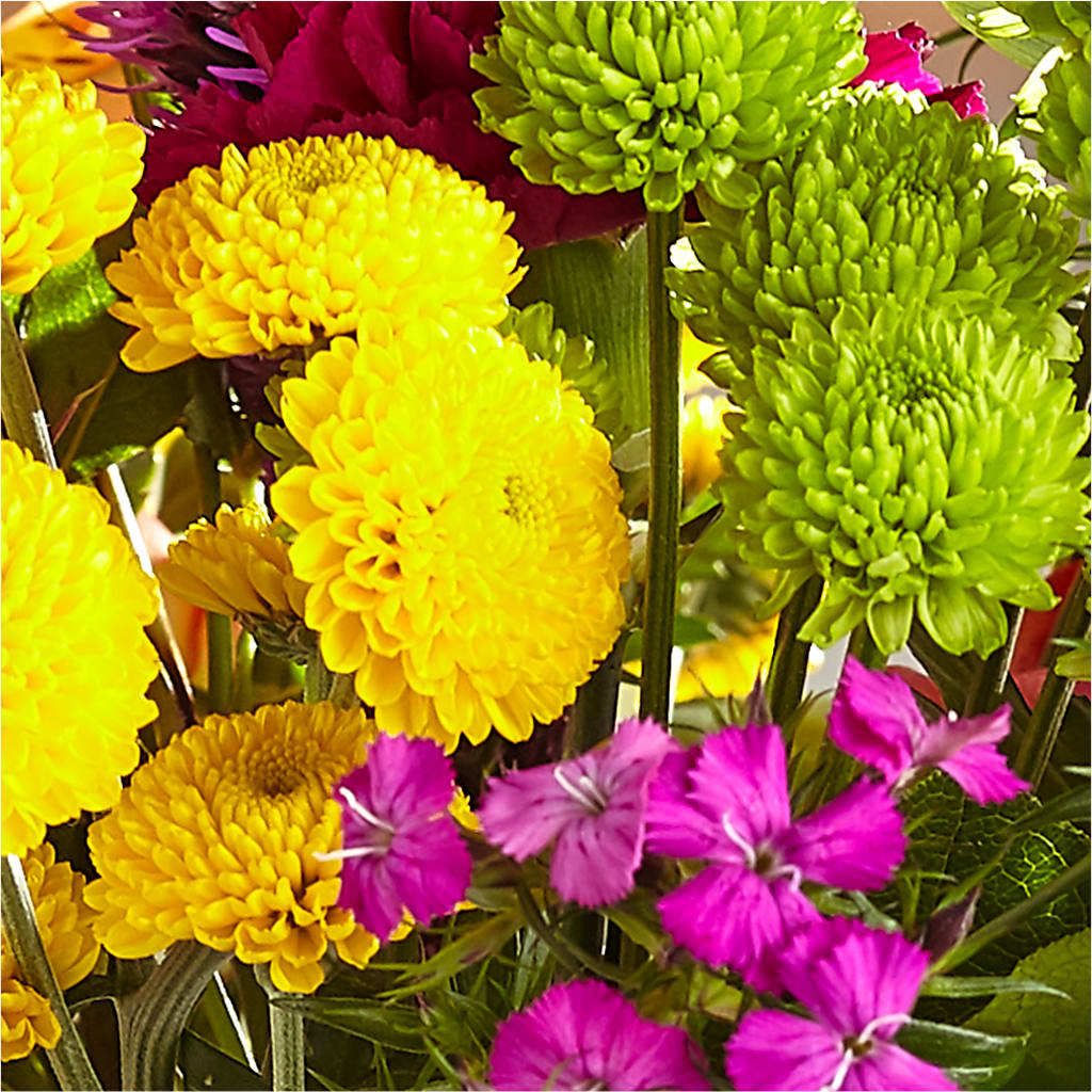 Bold & Bright – A Florist Original – BOWS PETALS 'N LACE, Livingston TN