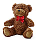 Adorable Plush Bear – BOWS PETALS 'N LACE, Livingston TN