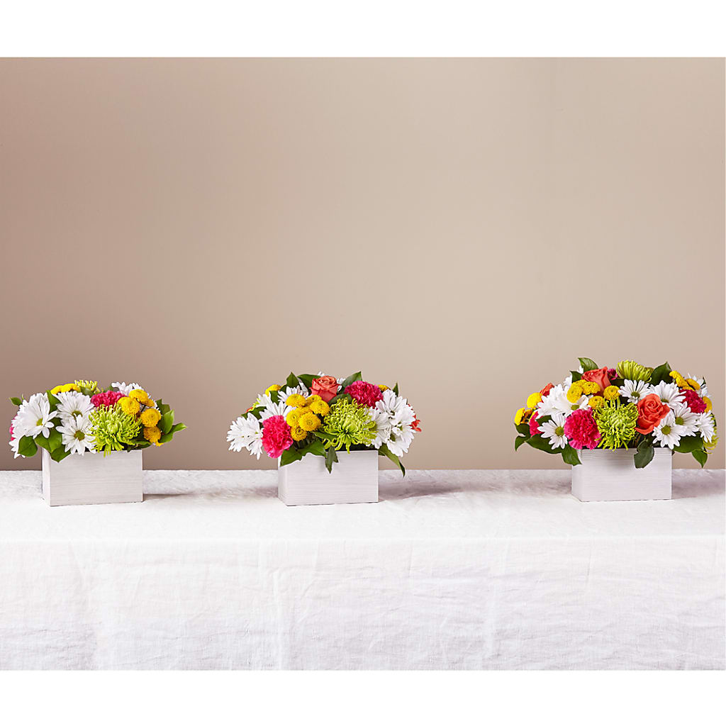 Sorbet Bouquet – BOWS PETALS 'N LACE, Livingston TN