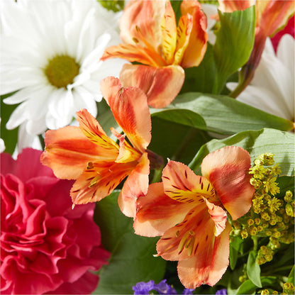 Oopsie Daisy Box Bouquet – BOWS PETALS 'N LACE, Livingston TN