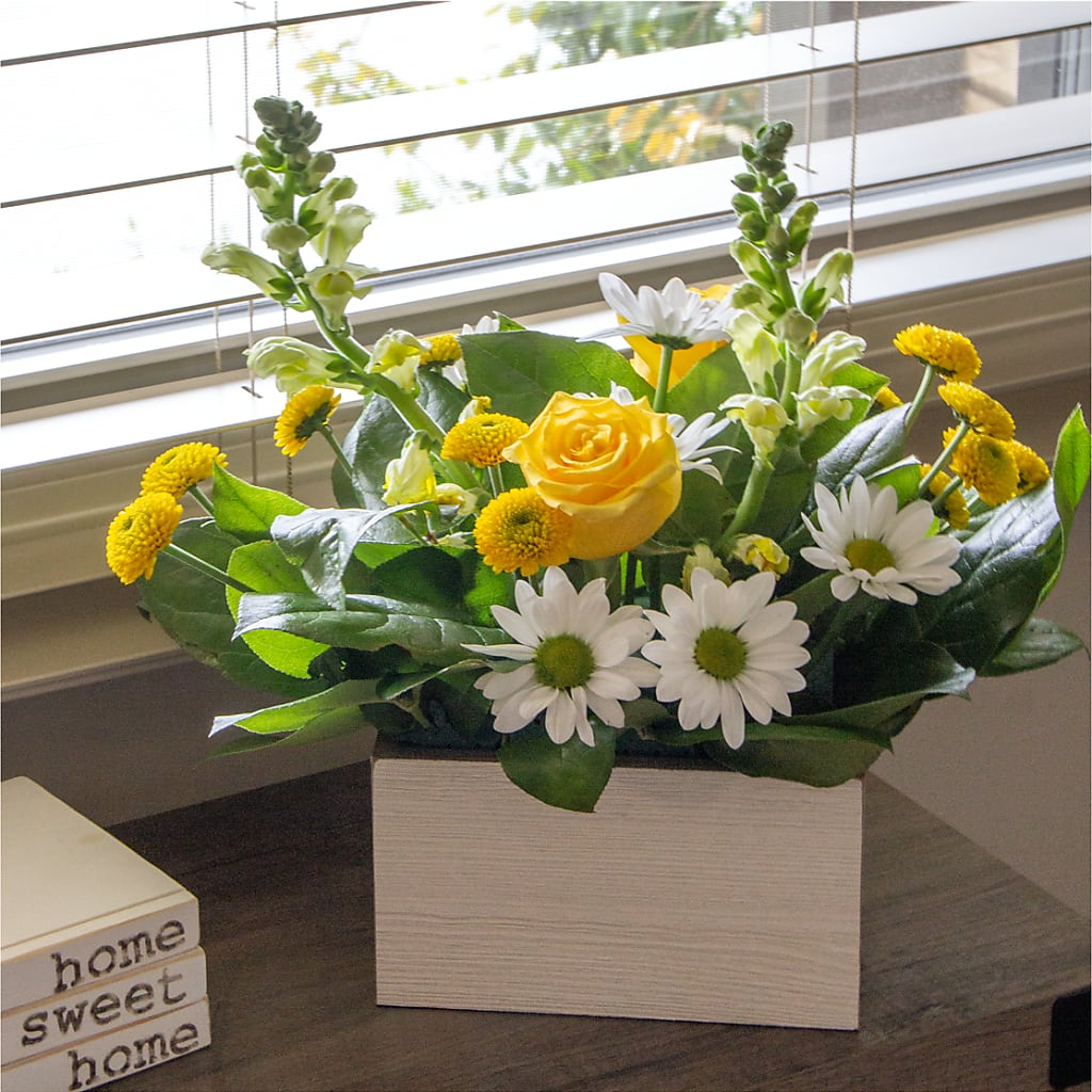 Sun Salutation Box Bouquet – BOWS PETALS 'N LACE, Livingston TN