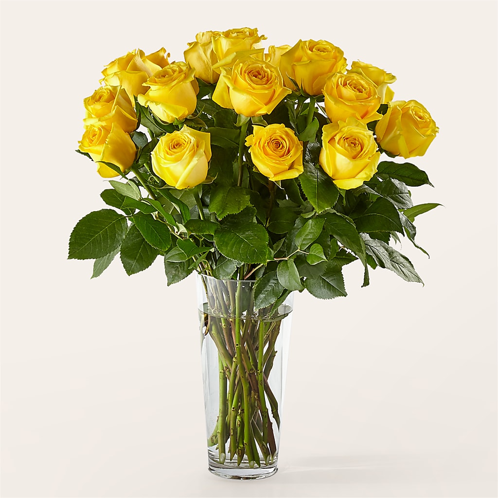 Long Stem Yellow Rose Bouquet – BOWS PETALS 'N LACE, Livingston TN