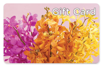 Gift Card – BOWS PETALS 'N LACE, Livingston TN