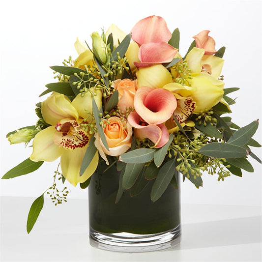 The Visionary – BOWS PETALS 'N LACE, Livingston TN