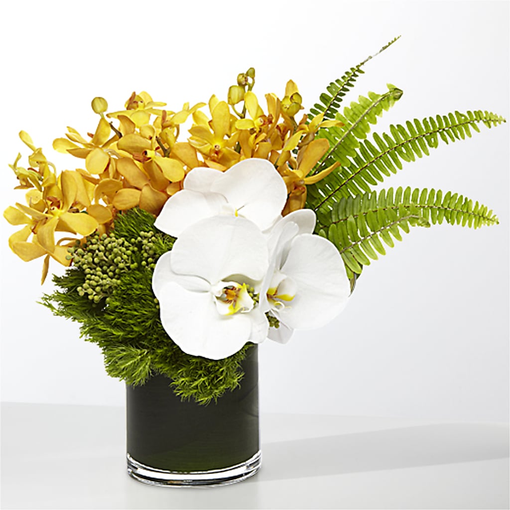 The Tropics – BOWS PETALS 'N LACE, Livingston TN