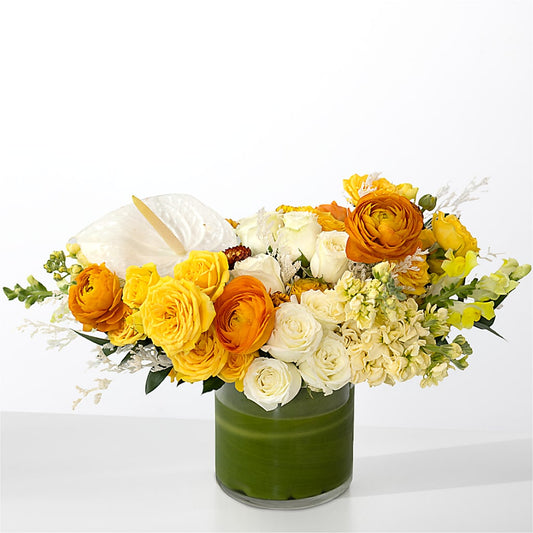 The Optimist – BOWS PETALS 'N LACE, Livingston TN