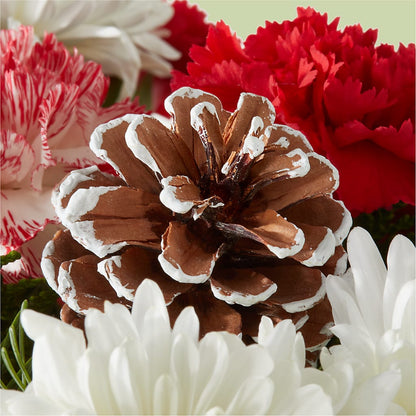 Candy Cane Lane Bouquet – BOWS PETALS 'N LACE, Livingston TN