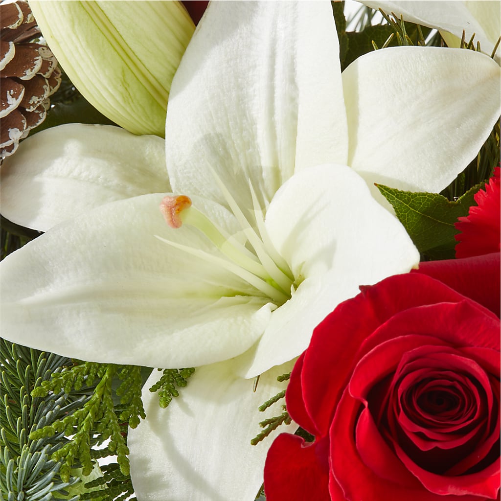 Oh So Jolly Bouquet – BOWS PETALS 'N LACE, Livingston TN