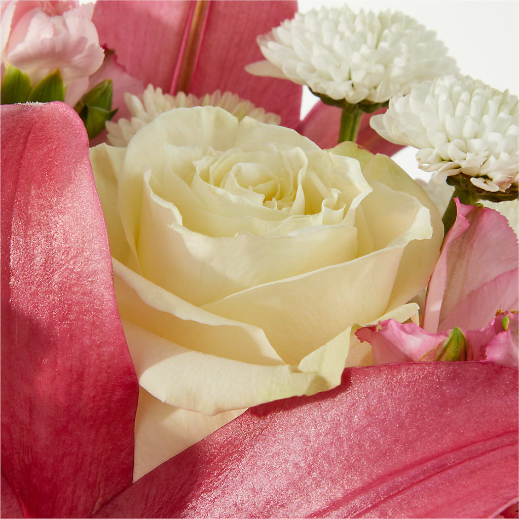 Piece of Cake Bouquet – BOWS PETALS 'N LACE, Livingston TN