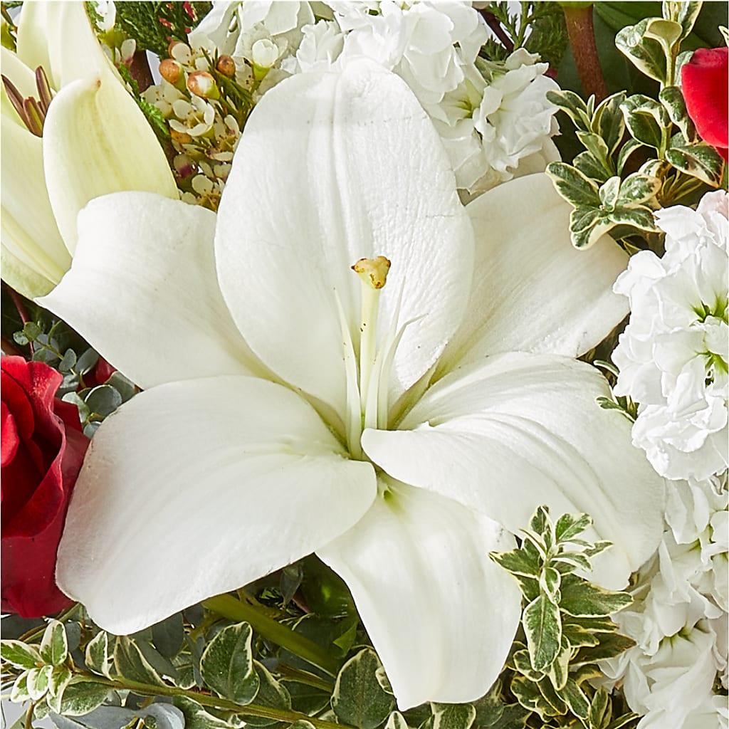 Twinkle Lights Bouquet – BOWS PETALS 'N LACE, Livingston TN
