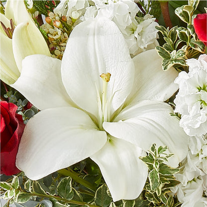 Twinkle Lights Bouquet – BOWS PETALS 'N LACE, Livingston TN