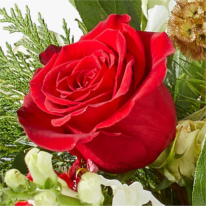 Deck the Halls Bouquet – BOWS PETALS 'N LACE, Livingston TN