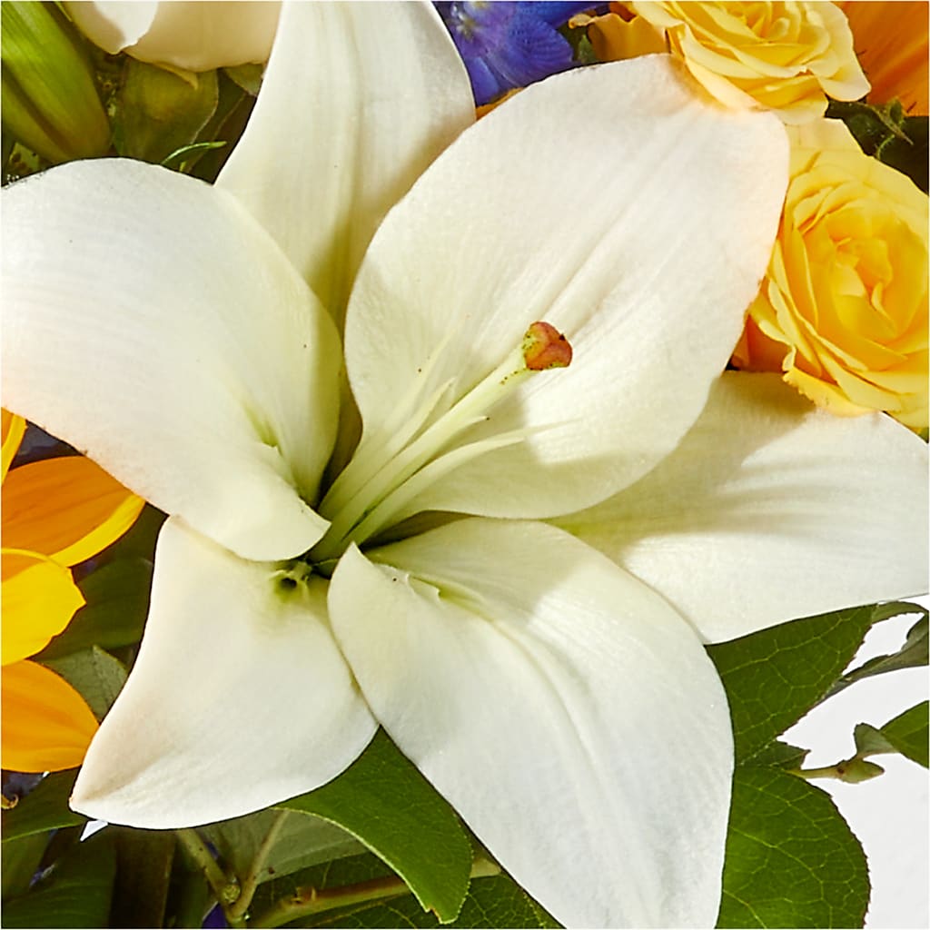 Wonderfully Sunny Bouquet – BOWS PETALS 'N LACE, Livingston TN